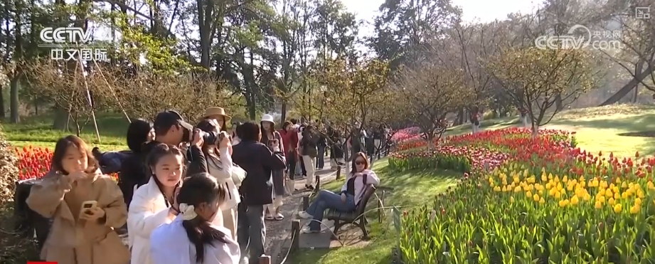 驱动赋能入境游 中高端市场释放多元潜力新葡京“数字+文化+影视+生态”多核(图7)