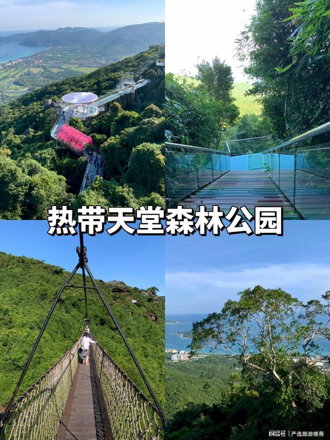 坑+高性价比解锁你的海岛度假新体验澳门新葡京三亚导游深度推荐：纯玩无(图3)