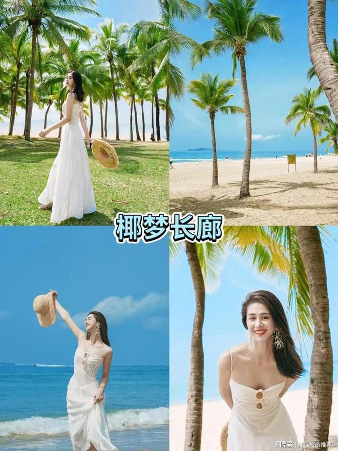坑+高性价比解锁你的海岛度假新体验澳门新葡京三亚导游深度推荐：纯玩无(图6)