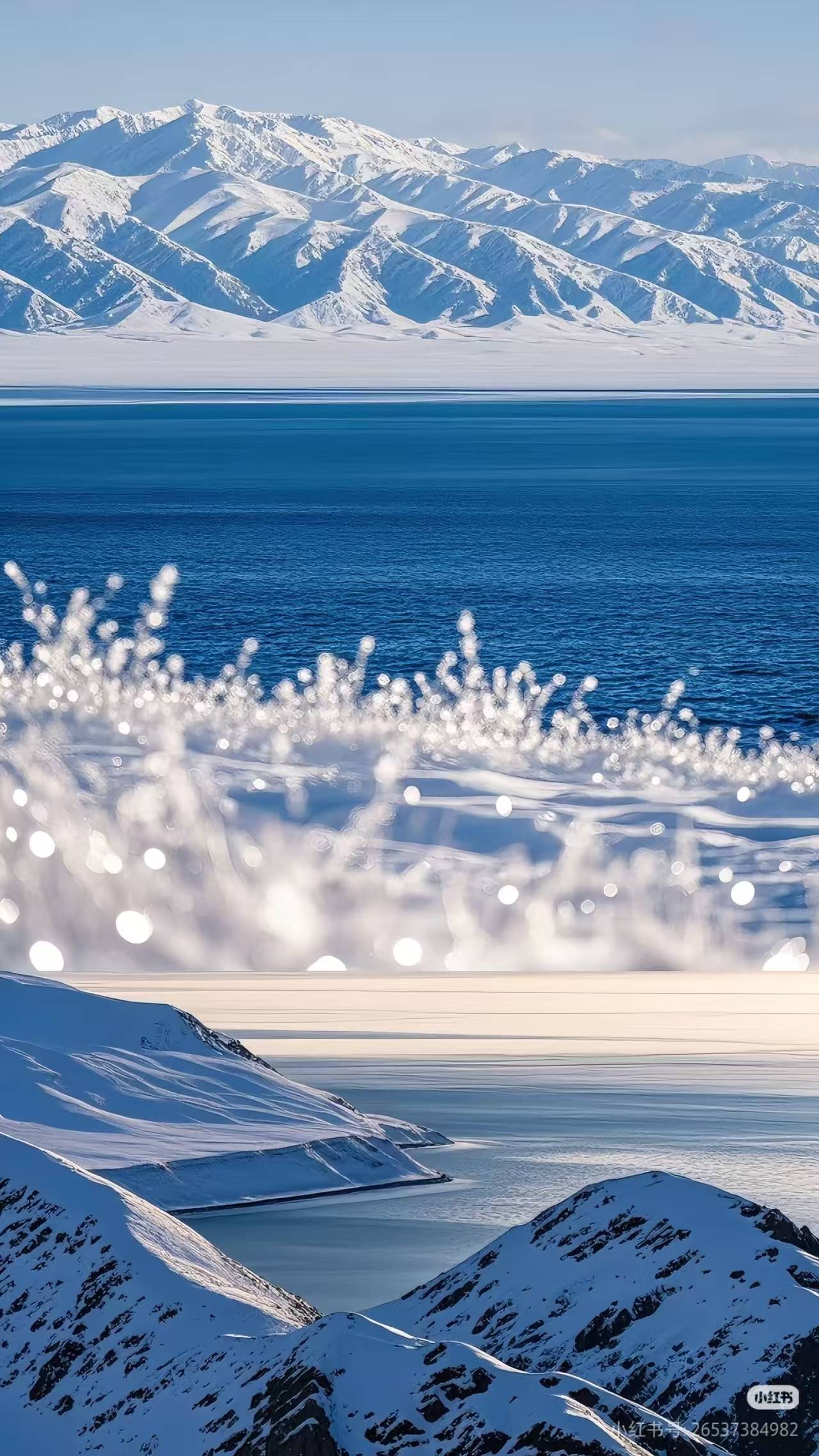 社高端定制游数据实测：路线%澳门新葡京网页伊犁问疆行旅行(图2)